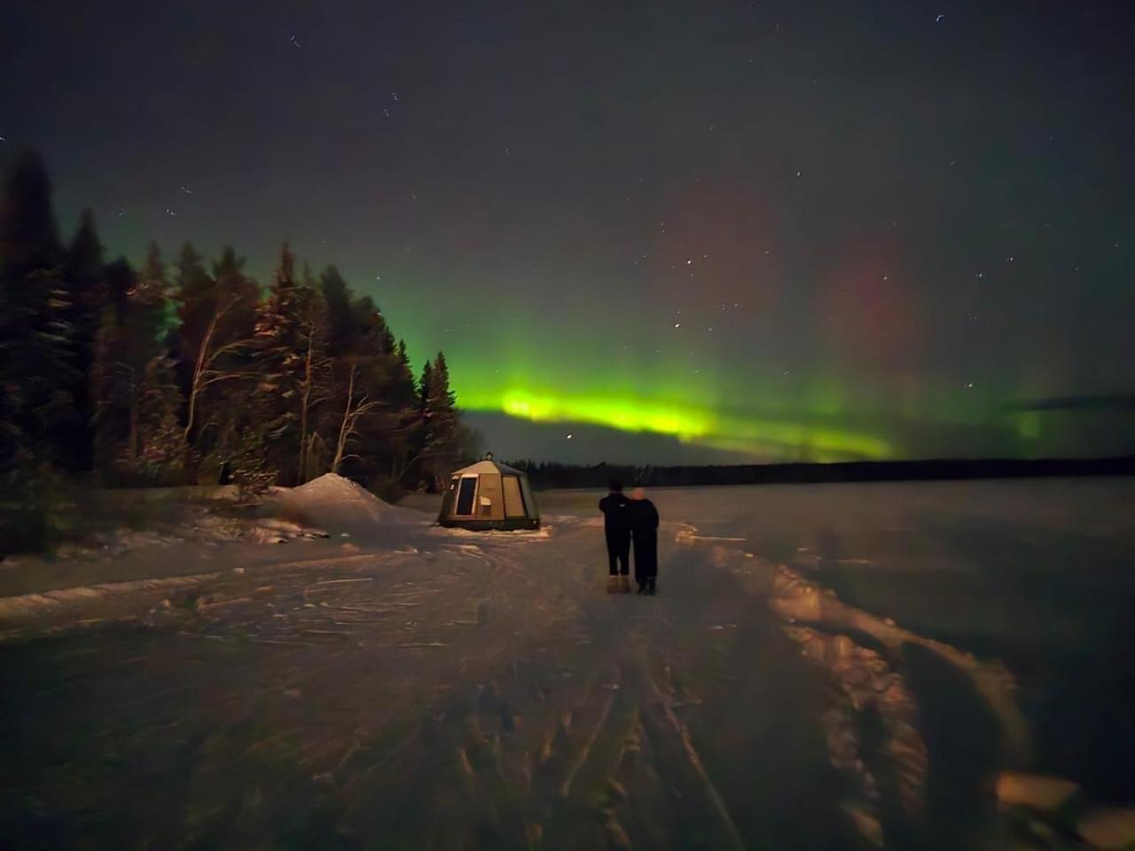 Vikajaervi Lake View Experience Igloos روفانييمي المظهر الخارجي الصورة